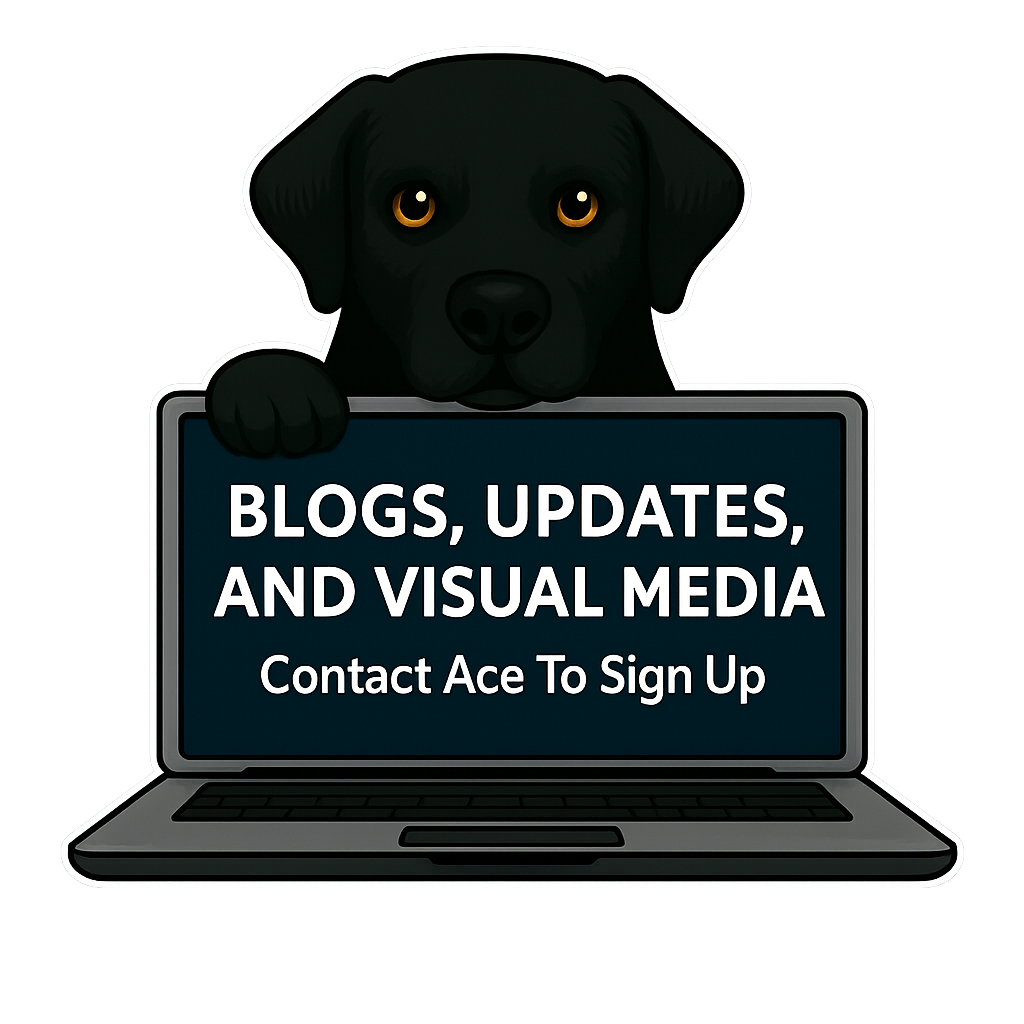 Image of Ace's chin resting on laptop on Home Page